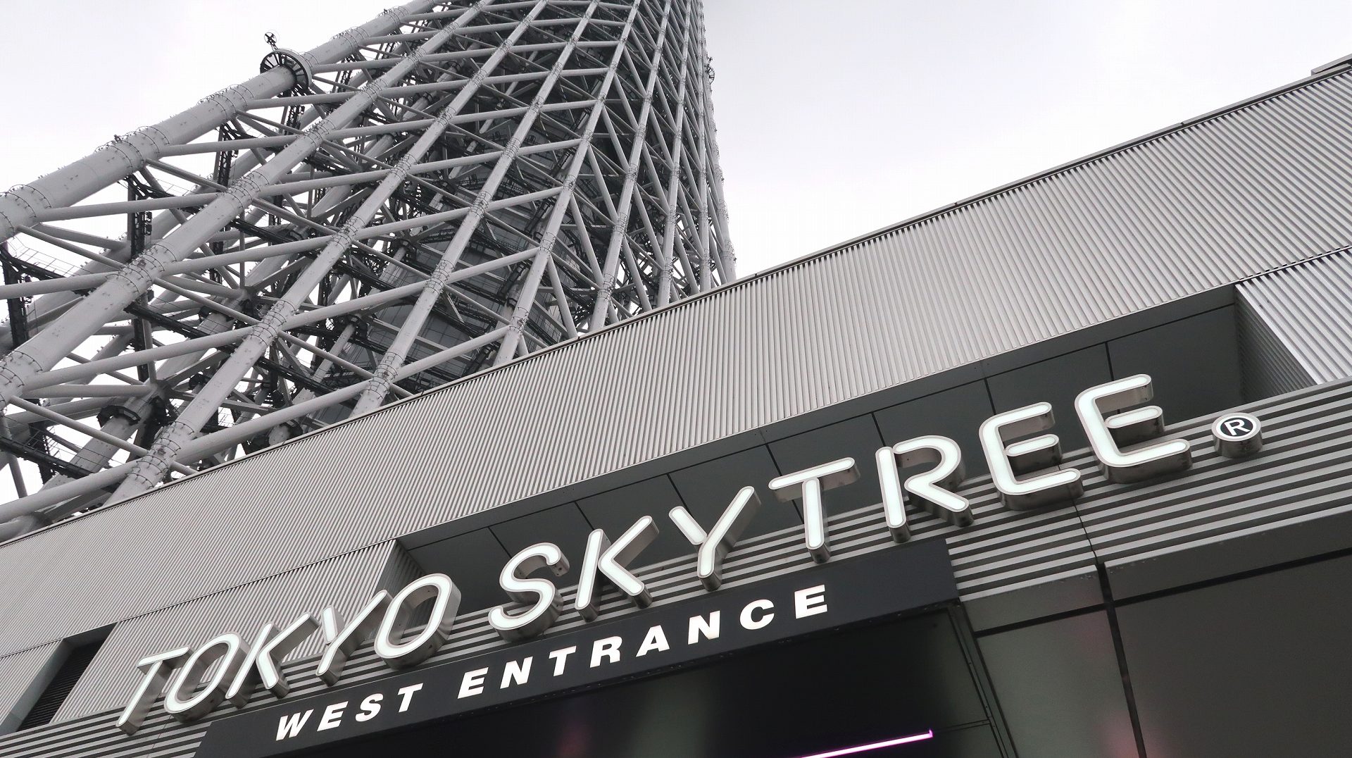 東京スカイツリーの写真
